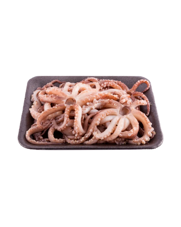 Tentáculo de calamar - 10Kg