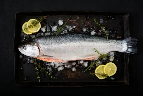 Salmón entero con cabeza 9-10kg